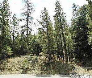 2nd image of 1301 Zermatt Ct