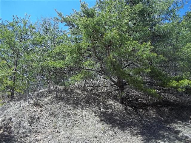 2nd image of Rustic Acres