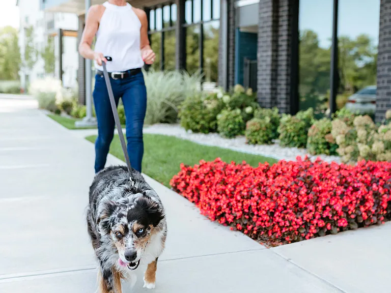 Pet-friendly community
