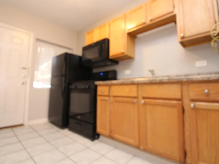 1338.5 W Argyle St #3N — Photo 5