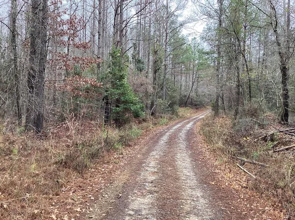 1 Mount Ida Rd, Luverne, AL 36049