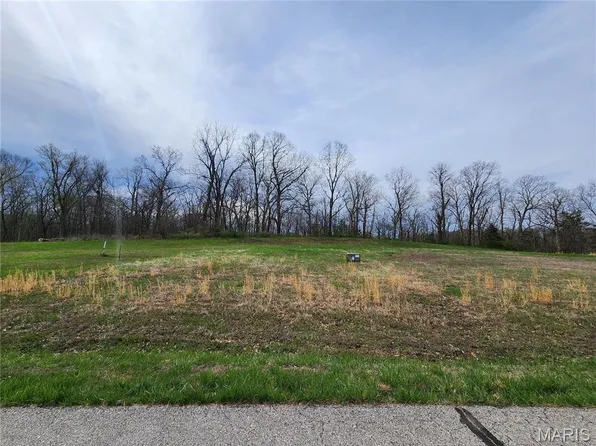 55 Parc Forest Trl, Hawk Point, MO 63349
