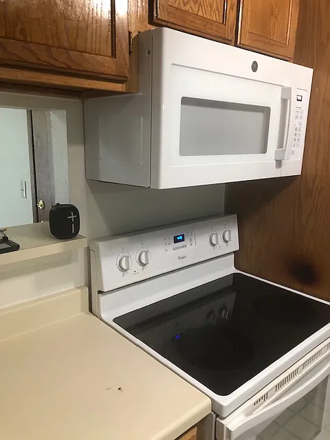 1 bed, 734 sqft, $1,250 — Photo 4