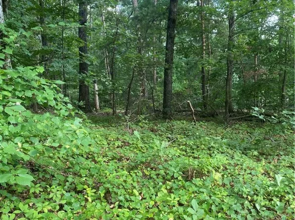 0 Windtree Rdg, Pickens, SC 29671