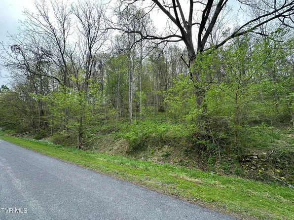 10318 Caney Valley Rd, Bristol, VA 24202
