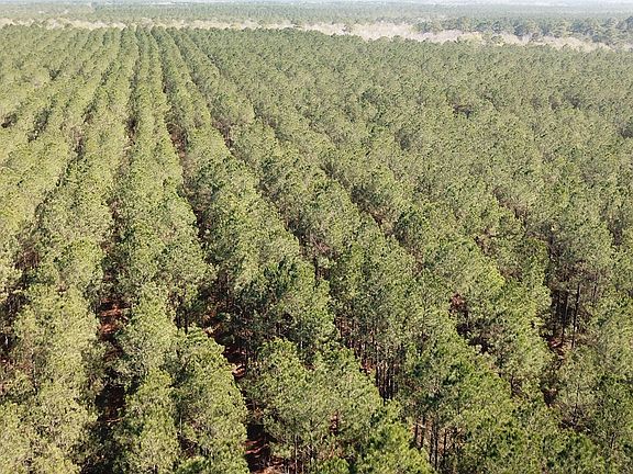 4th image of 0 Corrigan Rd