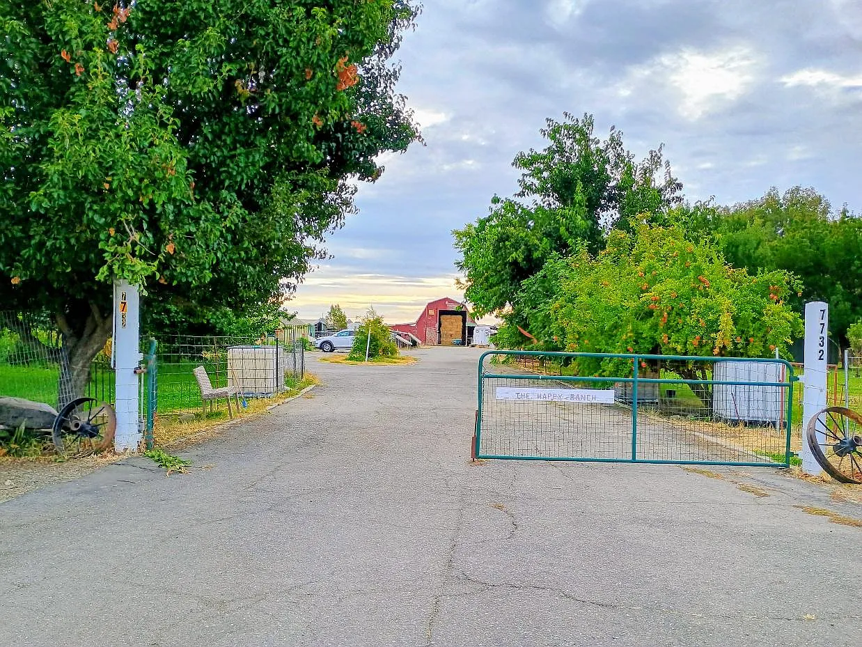 1 bed, 900 sqft, $2,200 — Photo 1