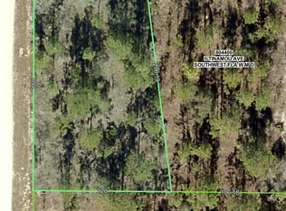 16338 Scaup Duck Ave, Brooksville, FL 34614