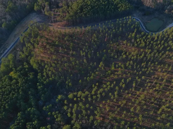 County Road 155, Centre, AL 35960