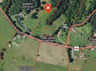 355 Natural Bridge Rd, French Creek, WV 26218