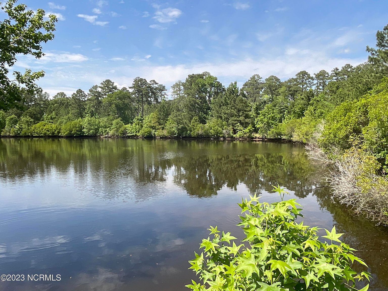 0 Whichards Beach Road, Chocowinity, NC 27817 MLS 100383880 Zillow