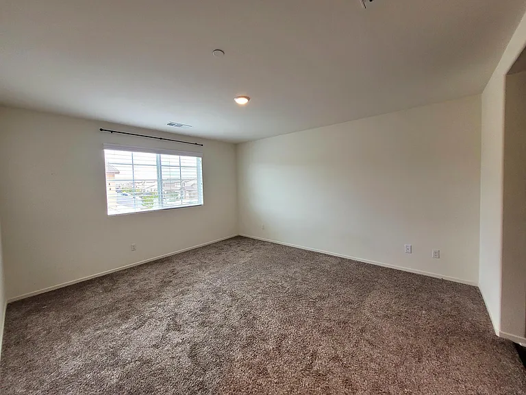29178 Sunforest — Photo 15
