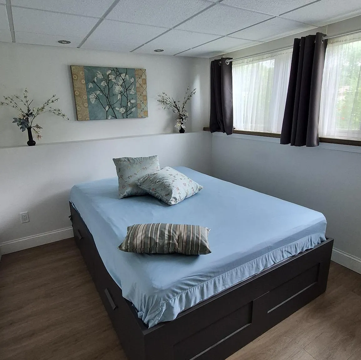 1 bed, 800 sqft, $1,350 — Photo 1