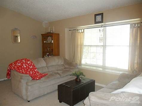 Bright and large living room