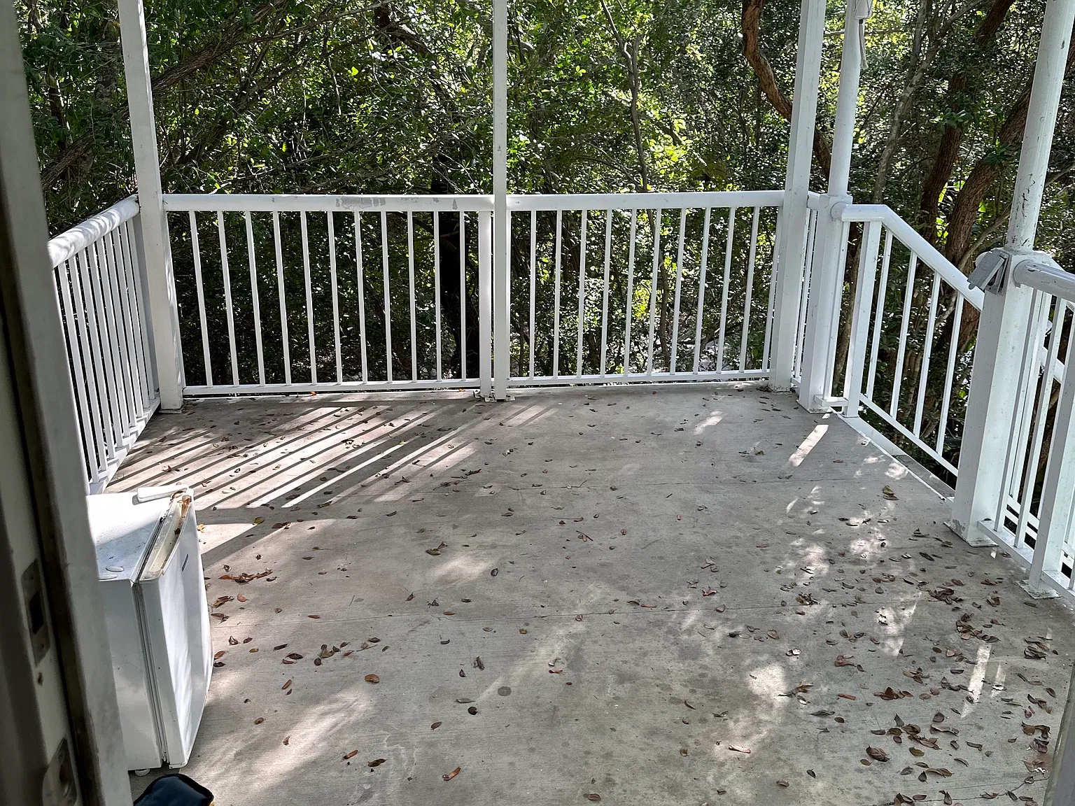 100 Palm Ln — Photo 2
