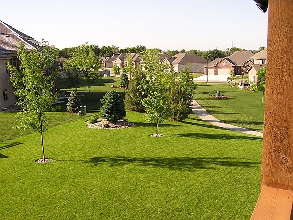 View from Deck