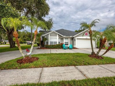 1210 Mistwood Dr, Tarpon Springs, FL, 34688