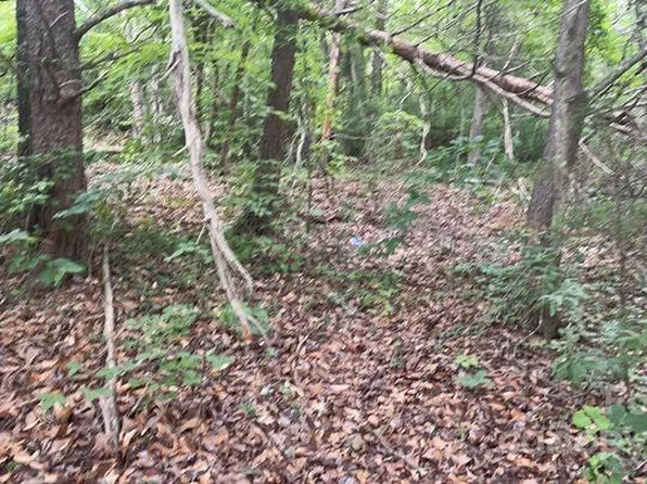 0 S Oak St, Spindale, NC 28160