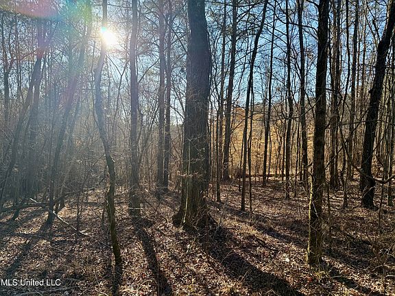 4th image of Triplett Ingram Rd