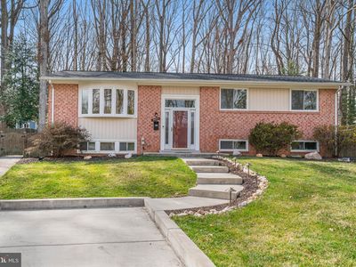 8651 Cromwell Dr, Springfield, VA, 22151