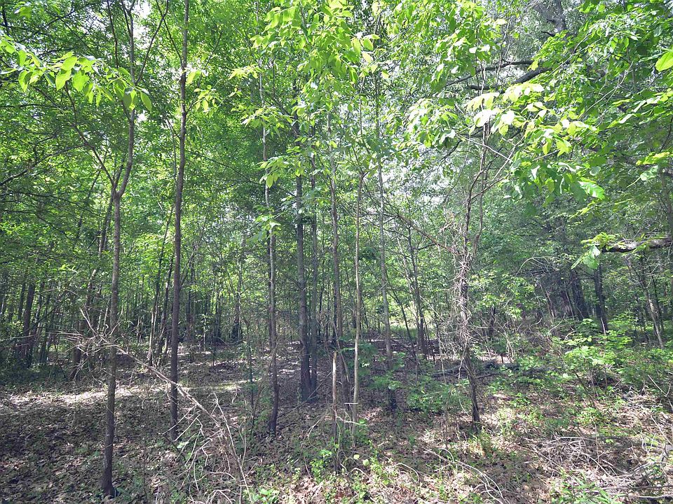 2nd image of 135 Worden Rd