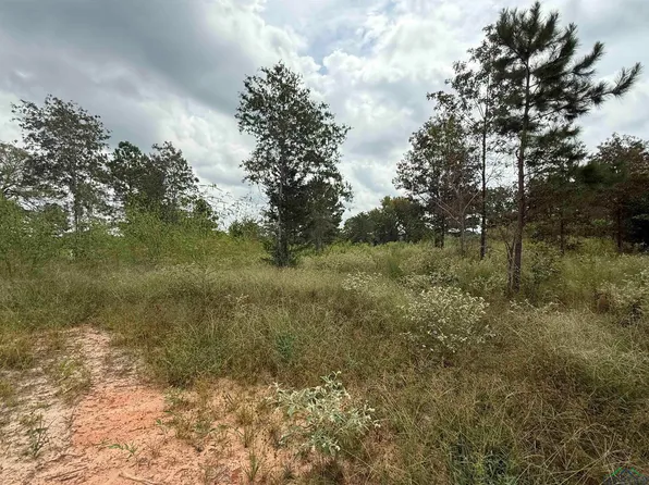 8396 County Road 4201d, Henderson, TX 75654