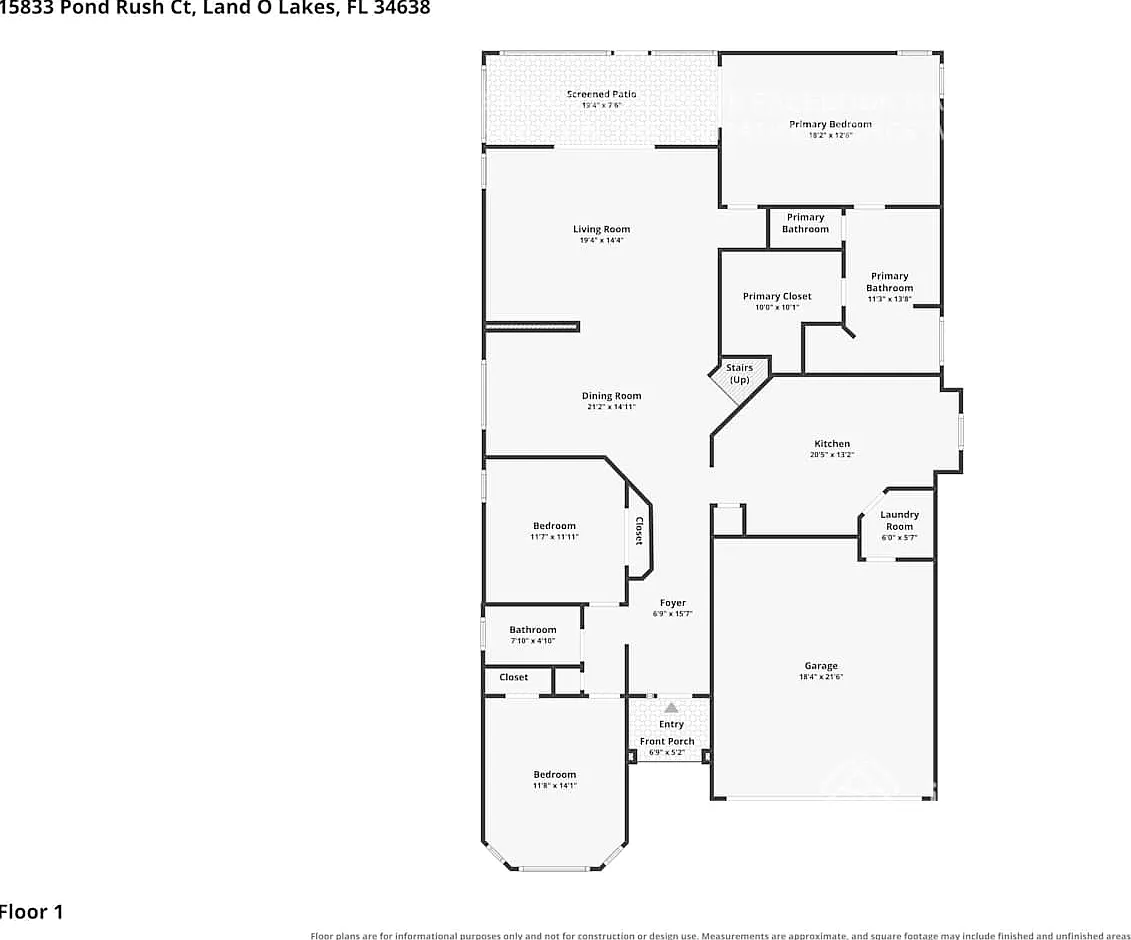 15833 Pond Rush Ct Land O Lakes, FL 34638 — Photo 2