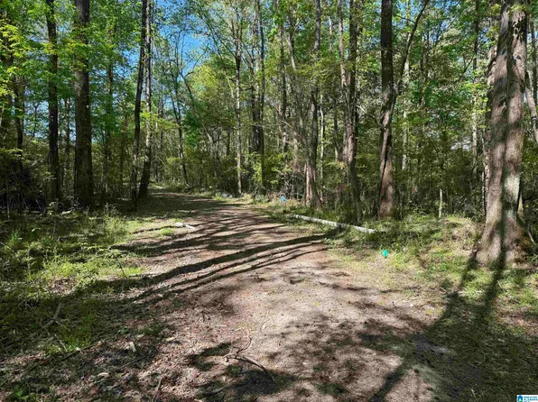 0 Railroad Ln #1, Odenville, AL 35120