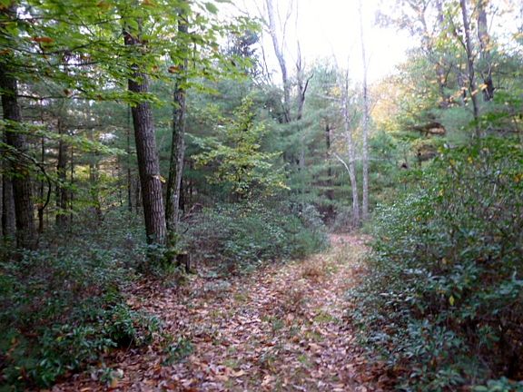 2nd image of Wildwood Way