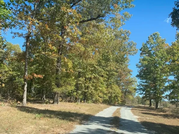 Tbd Young Rd, Salem, AR 72576
