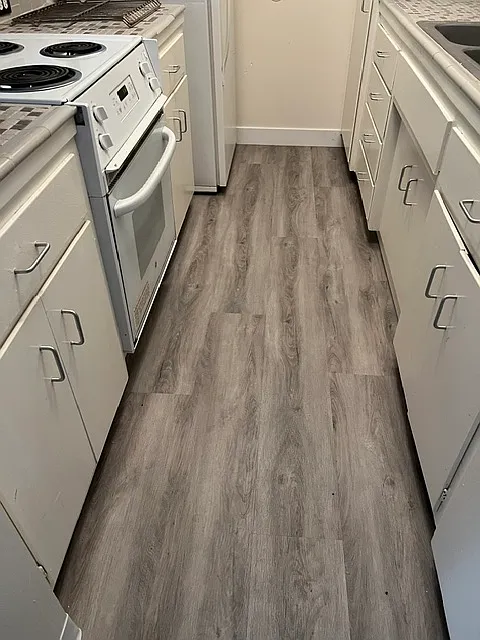 1 bed, 700 sqft, $1,300 — Photo 4