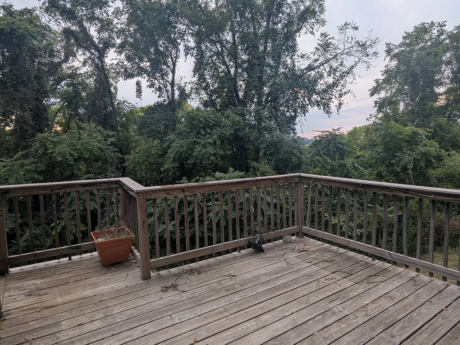 3 bed, 1121 sqft, $2,300 — Photo 3