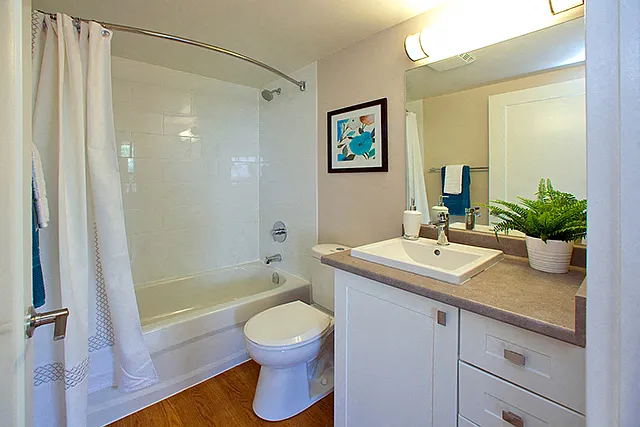 15 Regency Cres — Photo 10