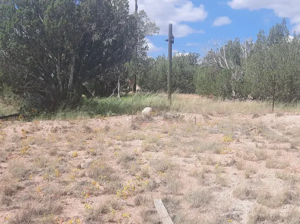 53925 N Cedar Dr, Seligman, AZ 86337