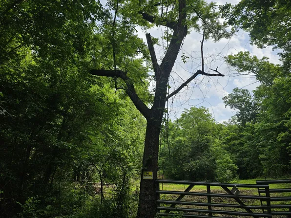 000 Sunny Slope Drive, Crane, MO 65633