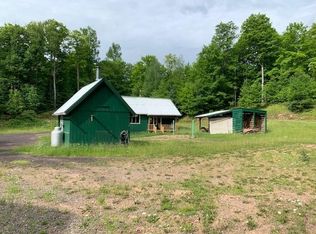167 W Winslow Lake Rd, Iron River, MI 49935