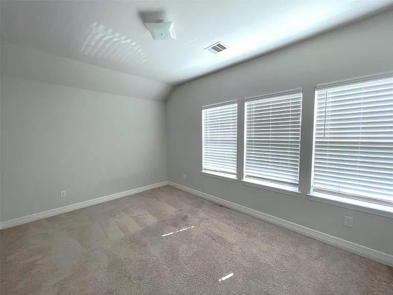 3310 Aster Meadow Way — Photo 12