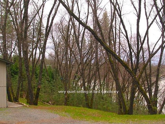 view from lower driveway