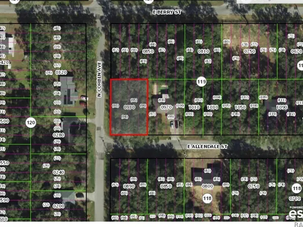 3817 E Allendale St, Inverness, FL 34453