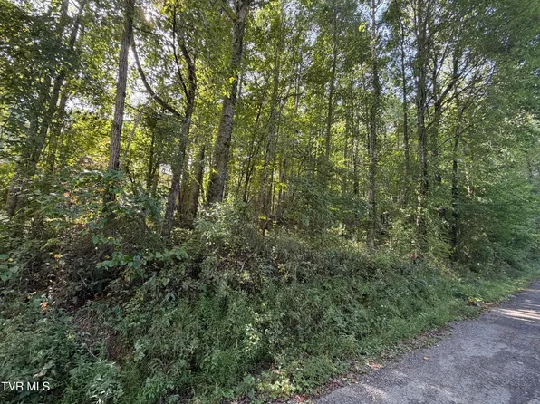Woods Ln, Shady Valley, TN 37688