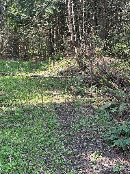 3rd image of 9999 Pristine Lane, Lot 3