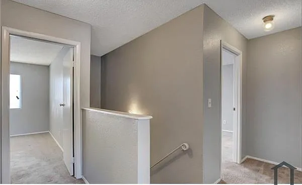 3855 Terrazzo Ave — Photo 8
