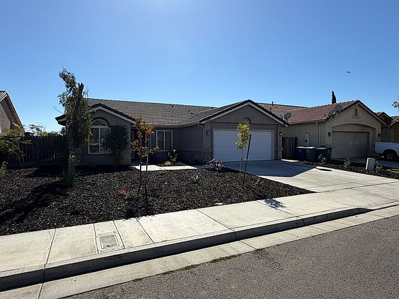 New Professional Landscape