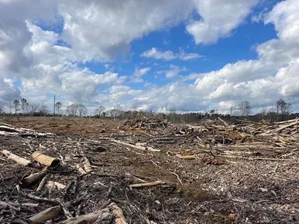 6 Ebenezer Rd, Columbia, MS 39429