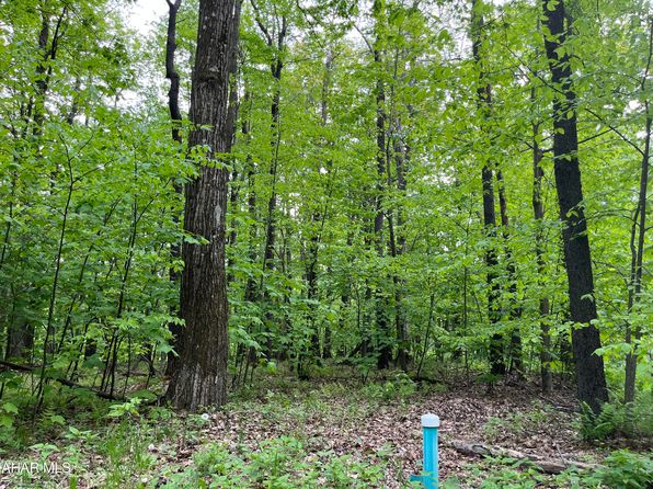 0 Kittanning Run Rd, Claysburg, PA 16625