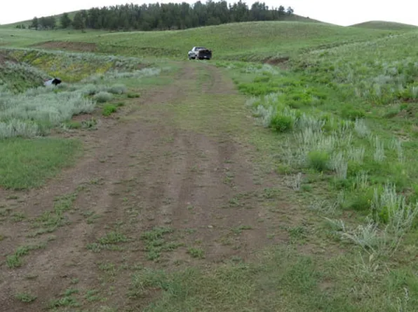 779 Yankton Rd, Hartsel, CO 80449