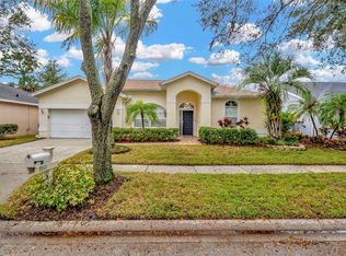 9311 Hampshire Park Dr, Tampa, FL 33647