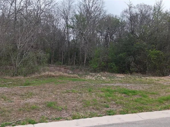 121 Bateleurefrey Cv, Cedar Creek, TX 78612