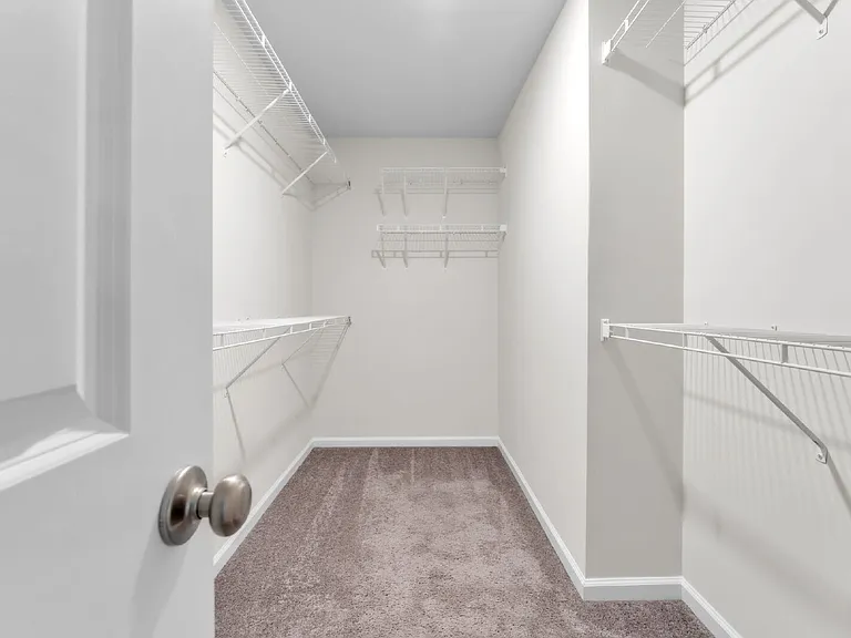 909 Cherry Plum Dr — Photo 18