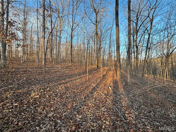 1 State Highway D, Greenville, MO 63944